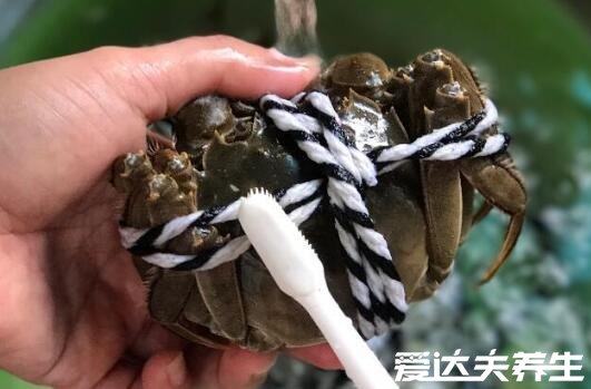 螃蟹蒸15分鐘還有寄生蟲嗎，沒有寄生蟲美味營養(yǎng)(附蒸螃蟹方法)