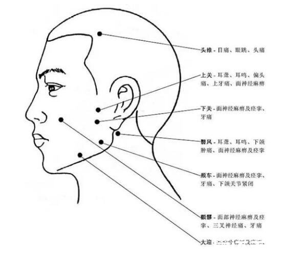 人體頭部經(jīng)絡(luò)圖穴位圖，讓你精準(zhǔn)找到自己頭部的穴位