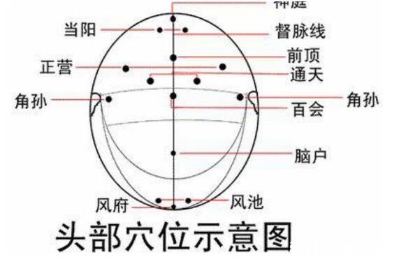 人體頭部經(jīng)絡(luò)圖穴位圖，讓你精準(zhǔn)找到自己頭部的穴位