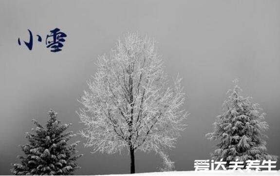 小雪節(jié)氣的含義是什么，冬季初雪開始大降溫注意防寒