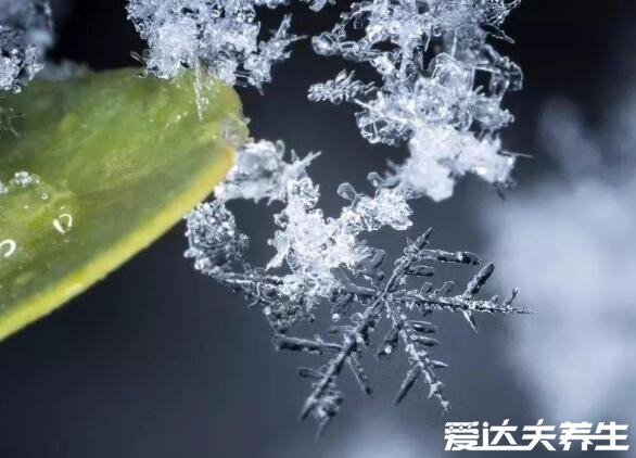 小雪節(jié)氣的含義是什么，冬季初雪開始大降溫注意防寒