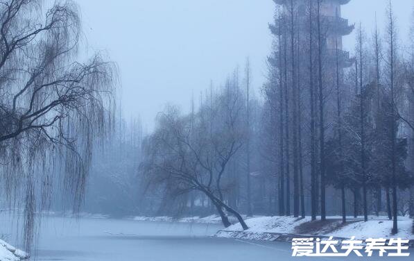 小雪節(jié)氣的含義是什么，冬季初雪開始大降溫注意防寒