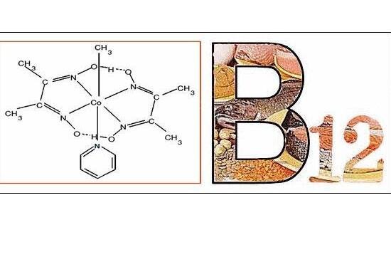 維生素b12功能與作用，不僅預(yù)防貧血對新陳代謝生長發(fā)育都有效果