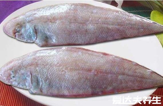 虹鱒魚(yú)和三文魚(yú)的區(qū)別，不僅外觀差別大價(jià)格差距也十分大(圖片)