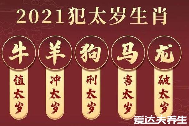 2021年犯太歲最兇的四大生肖，羊馬龍狗生肖的朋友們注意了