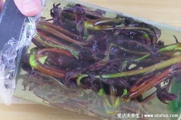 香椿芽怎么保存才新鮮，3種方法從春天放到冬天都沒問題