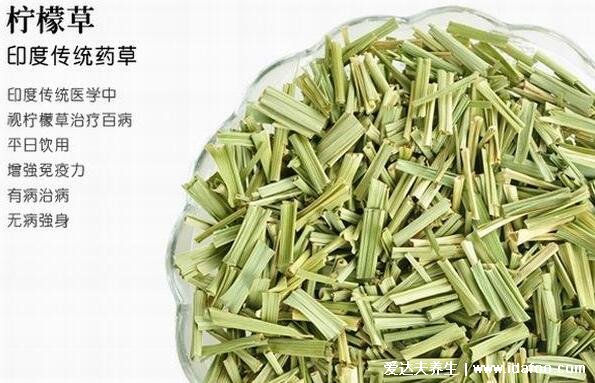 檸檬草茶的功效與作用及禁忌，減肥美白淡斑但有3類(lèi)人不宜喝