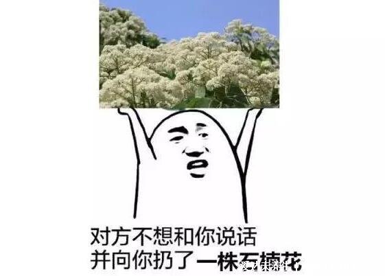 石楠花為什么叫最污花，花香像極男性精子味