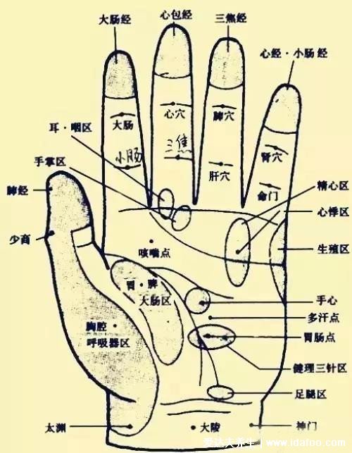 人體手部經(jīng)絡(luò)圖及功用解析，小拇指警惕月經(jīng)病