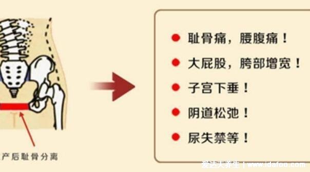 恥骨是哪個(gè)部位圖片，大腿根部和小腹交界的位置(孕婦必看)