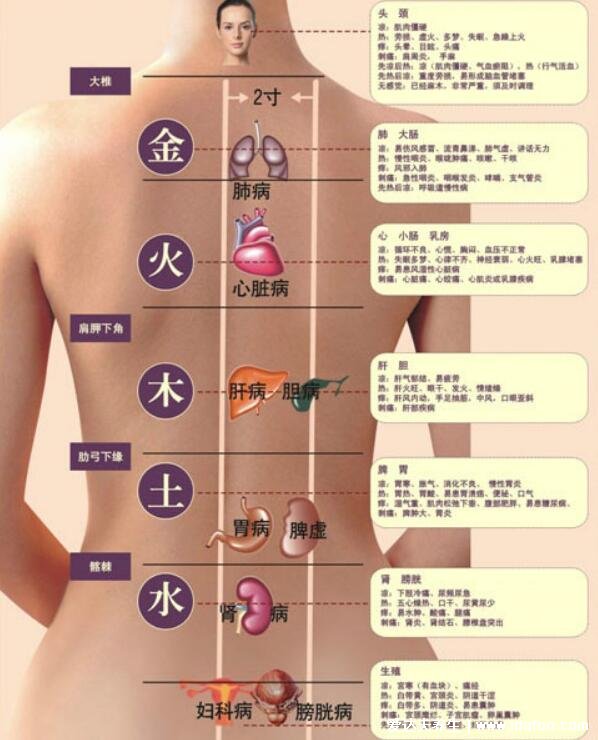 人體器官后背疼痛對應器官圖，各個位置疼痛病灶解析(在家自診)