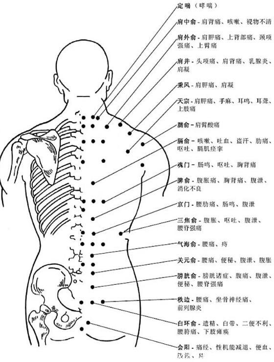 人體器官后背疼痛對應器官圖，各個位置疼痛病灶解析(在家自診)