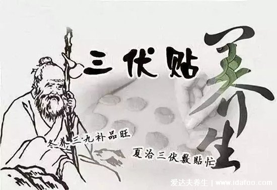 夏至是入伏的開始嗎，今年三伏天時間表如下(夏至不是入伏)