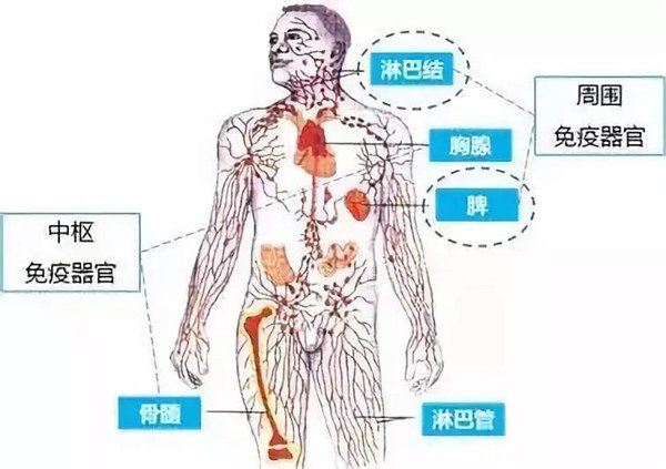 腋窩淋巴結(jié)腫大圖片男，淋巴結(jié)凸起紅塊可能還疼痛