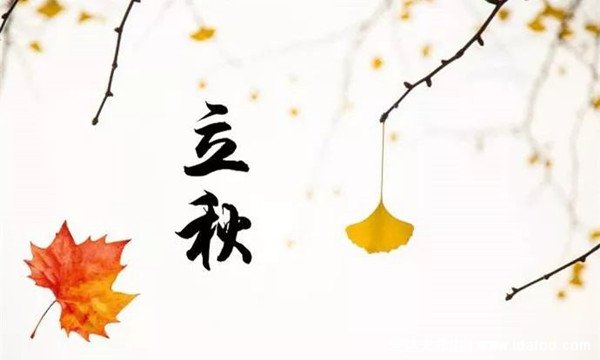 一年12個(gè)月怎么分四季，一年四季的劃分時(shí)間表(一般3月春季)