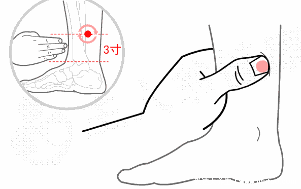 早泄穴位按摩圖片，五大穴位助勃延時讓你告別陽痿早泄