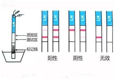 真實清晰驗孕棒圖片懷孕圖片和沒懷孕圖片，一下就能看懂