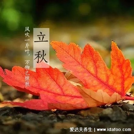 立秋吃餃子的寓意是什么，貼秋膘滋補(bǔ)身體(由陽盛轉(zhuǎn)為陰盛)