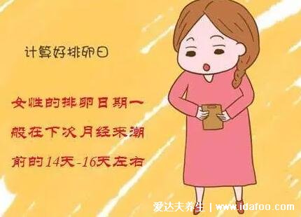 生兒子一定要在排卵前還是后，在排卵日當(dāng)天/第二天同房