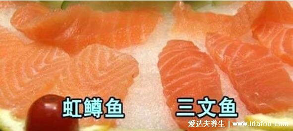 虹鱒魚和三文魚的區(qū)別，虹鱒魚更有嚼勁且顏色較暗(4大區(qū)別)