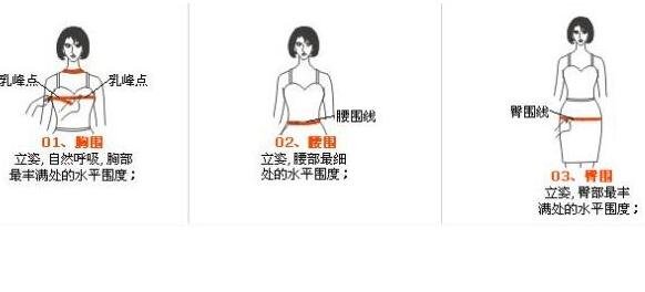 女孩子三圍是哪三圍，分別是胸圍/腰圍/臀圍(女生標準三圍對照表)