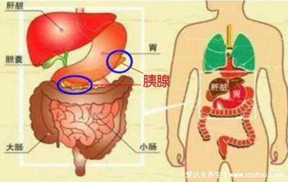 胰腺癌的早期癥狀，8類高風(fēng)險人群出現(xiàn)這6大癥狀要警惕