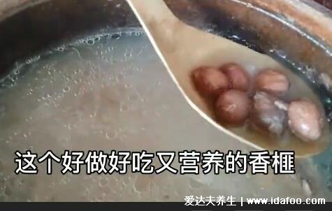 香榧怎么吃，試試和排骨一起燉的做法(食材簡單但營養(yǎng)不低)