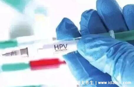 hpv疫苗適合什么年齡，三種疫苗適用年齡不同( 附二價四價九價區(qū)別)