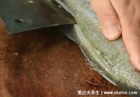 清蒸鱸魚蒸魚要多久，水開后可蒸12分鐘(附做法視頻)