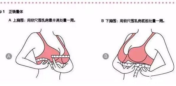 內(nèi)衣罩杯abcd怎么分大小，罩杯大小示意圖(計算上下胸圍差)