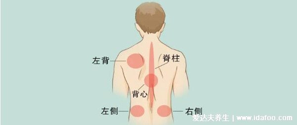 男女后背疼痛位置圖詳解，含左右后背疼痛對(duì)照?qǐng)D(重視背疼原因)