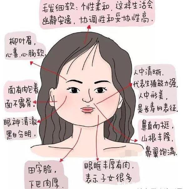 女生有富貴命的征兆，6個女人極貴的面相和體相