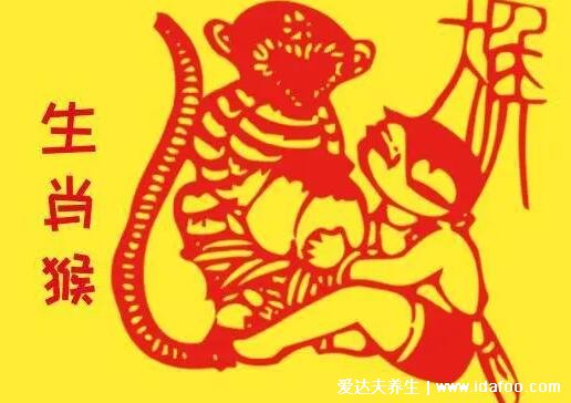 2022年最旺最順的生肖，屬兔的人遇貴人家庭和睦(有4個(gè)生肖)