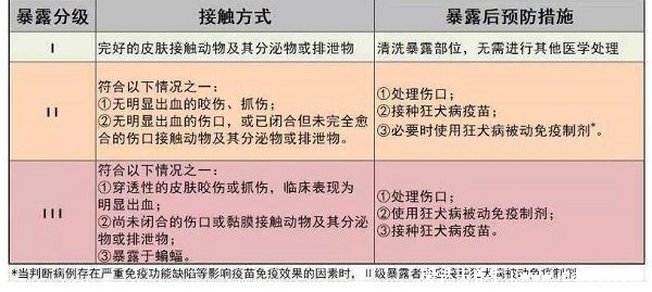 怎樣判斷用不用打狂犬疫苗，要看傷口程度二級三級要打(10種情況不用)