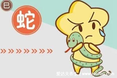 什么蛇是苦命蛇，6月份/3月份/9月份/11月份的屬蛇人(不同運(yùn)勢(shì)分析)