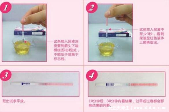 排卵試紙怎么看是排卵圖片，兩條很深的紅杠就是處于排卵期