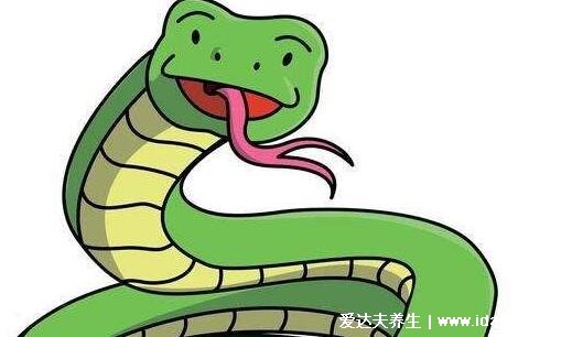 屬虎的最怕的三個(gè)生肖，蛇/猴/豬(小心影響運(yùn)勢(shì))