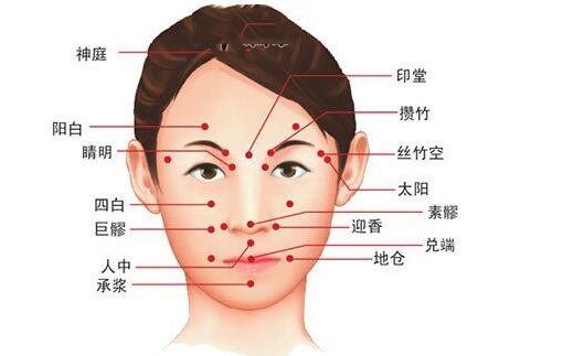 人體面部穴位圖美容部位圖，按摩承泣穴有助于去黑眼圈