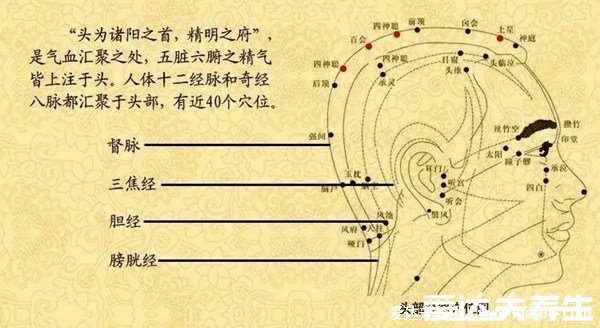 人體面部穴位圖美容部位圖，按摩承泣穴有助于去黑眼圈