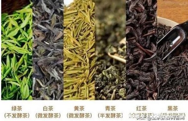 普洱茶屬于什么茶什么季節(jié)喝，存在爭議一年四季可飲用(功效不同) 