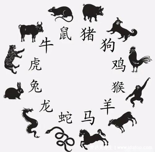 十二生肖夫妻相克表太準(zhǔn)了，鼠龍相配終身富貴幸福