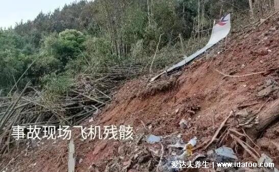 飛機墜毀人會怎樣痛苦嗎，為什么找不到遺體(瞬間汽化尸骨無存)