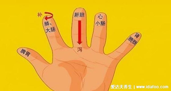 無(wú)名指是哪個(gè)手指圖解，無(wú)名指圓滑有力的人更健康