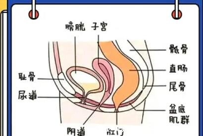 盆底肌修復(fù)的最佳方法，在家能做縮杠運(yùn)動(dòng)/凱格爾運(yùn)動(dòng)