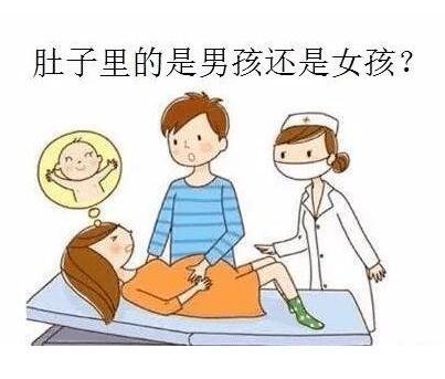 B超單有這個(gè)一般是女孩，看孕囊數(shù)據(jù)/形狀/大小(圓形是女寶)