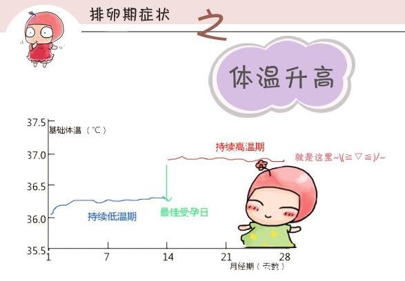 怎么看內(nèi)褲知道排卵了，內(nèi)褲總是濕濕的有蛋清樣白帶