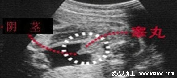 懷孕測男女最準的98%表，生男生女預測表2022年清宮表