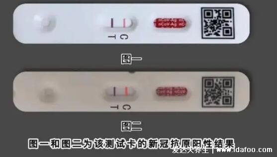 抗原檢測(cè)怎么上傳到健康碼，微信支付寶小程序操作步驟圖解