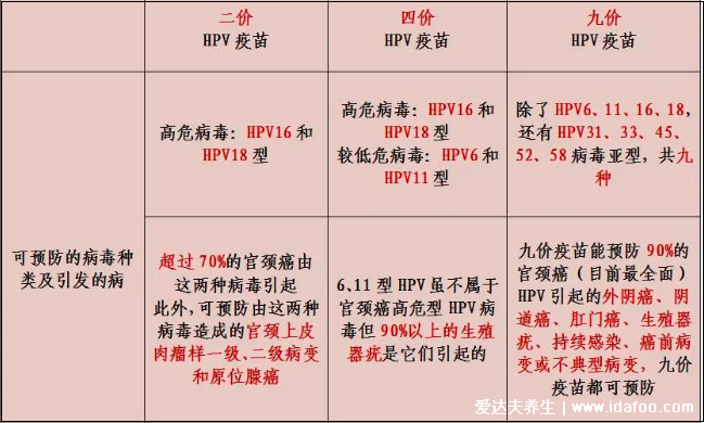 感染HPV病毒 就會(huì)惡變成宮頸癌嗎？造成宮頸癌的真正原因究竟是什么？