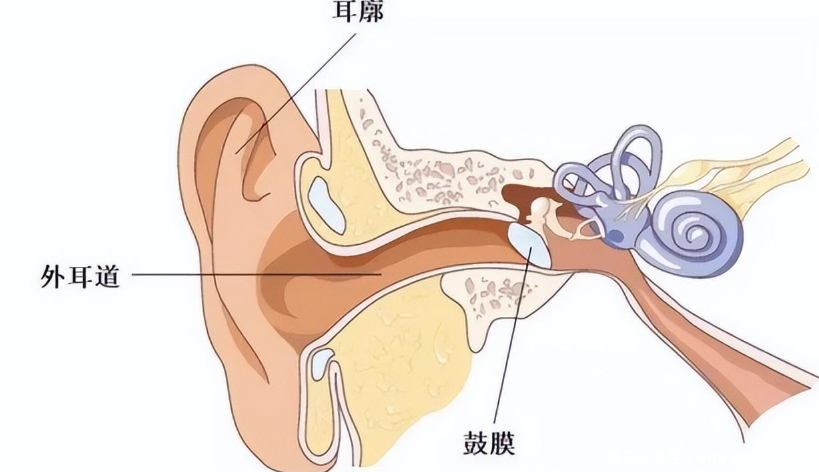 耳朵里總是癢但里面什么都沒有醫(yī)生告訴你為什么